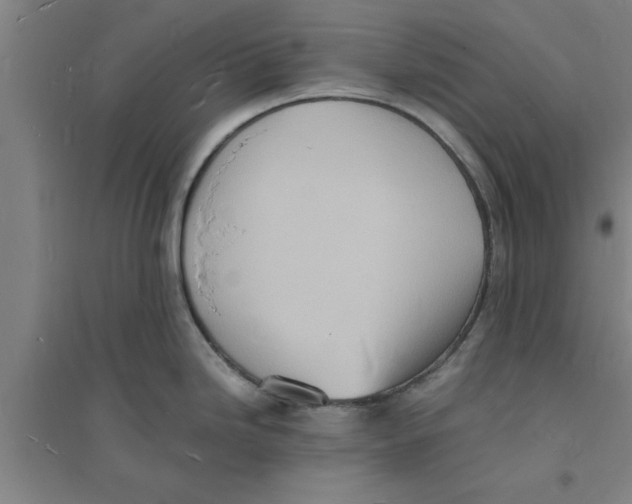 X0000094061246200711161517