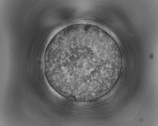 X0000094061247200711161517