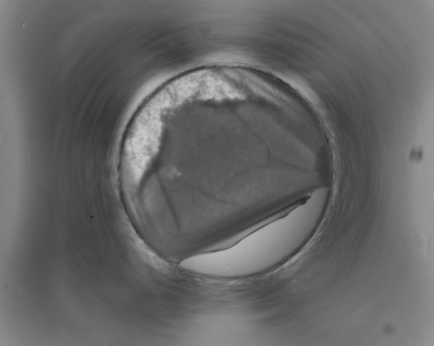 X0000094061248200711161517