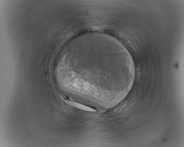 X0000094061249200711161517