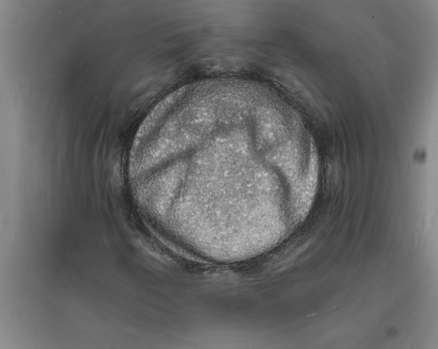 X0000094061250200711161517