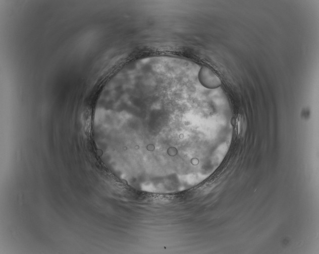 X0000094061251200711161517