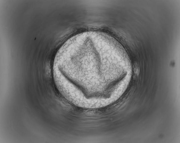 X0000094061252200711161517