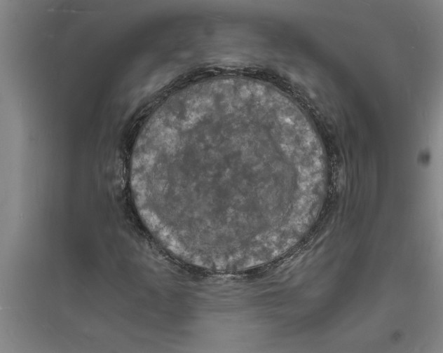 X0000094061253200711161516