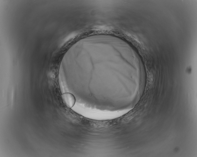 X0000094061254200711161516