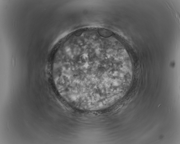 X0000094061255200711161516