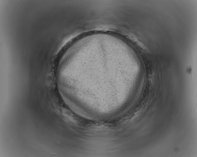 X0000094061256200711161516