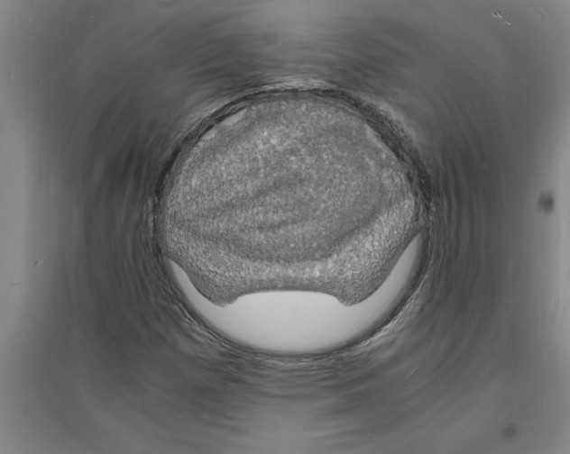 X0000094061257200711161516