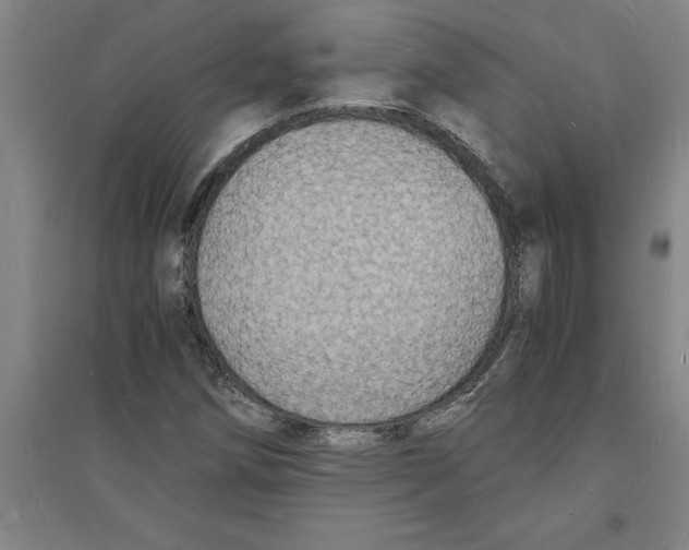 X0000094061258200711161516