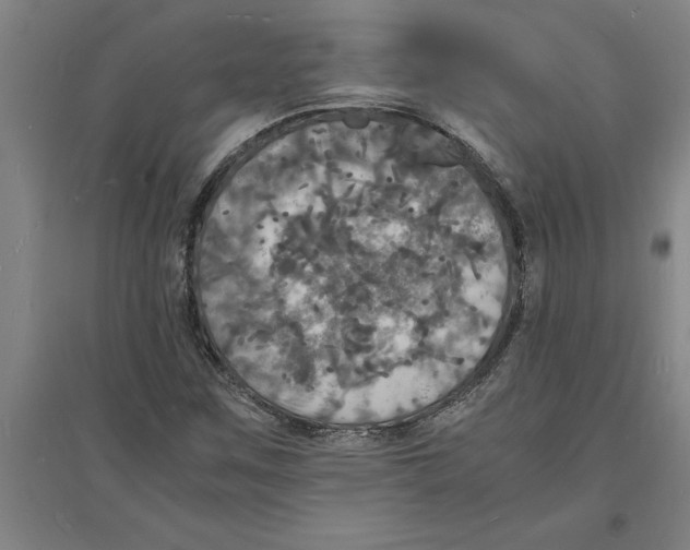 X0000094061259200711161516