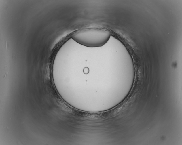 X0000094061262200711161516