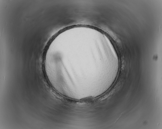 X0000094061264200711161516