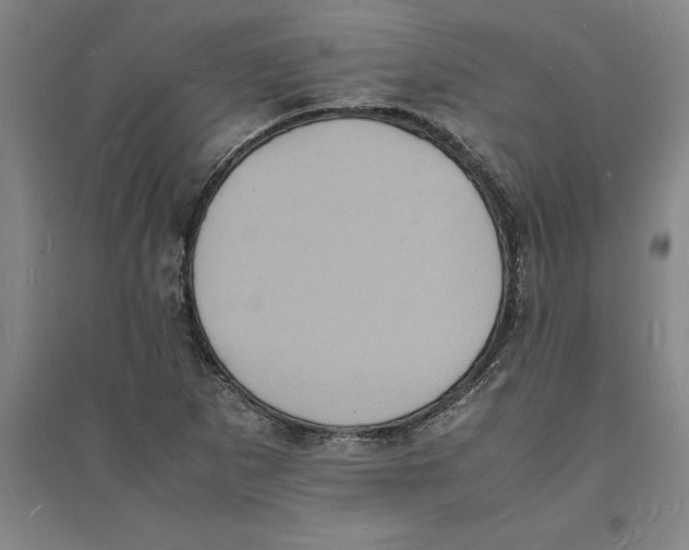 X0000094061265200711161516