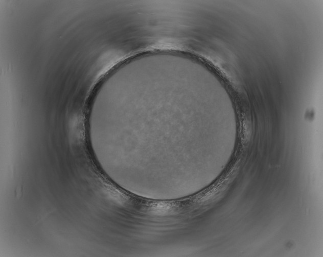 X0000094061266200711161516