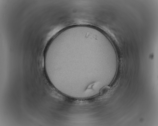 X0000094061269200711161516