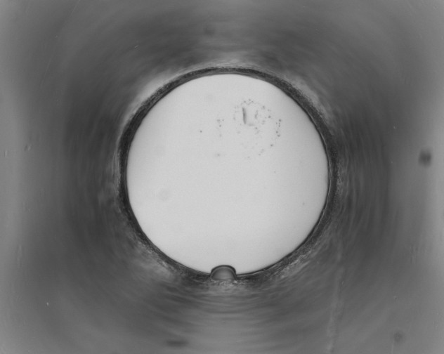 X0000094061270200711161516