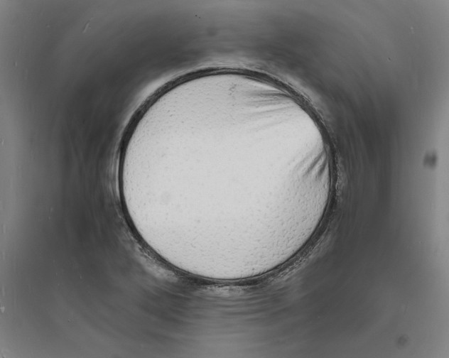 X0000094061272200711161516