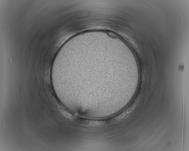 X0000094061273200711161516