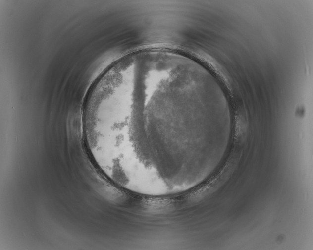 X0000094061274200711161516