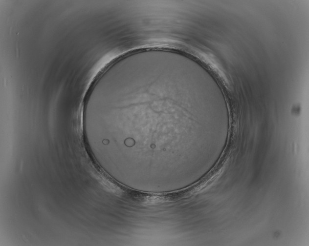 X0000094061275200711161516