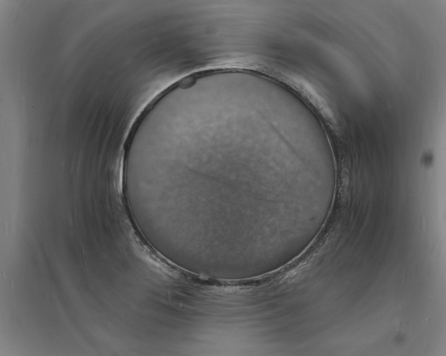 X0000094061276200711161516