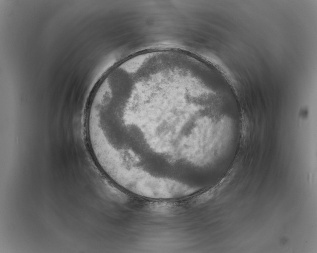 X0000094061278200711161516