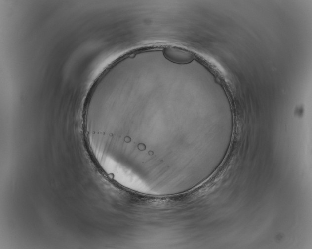 X0000094061279200711161516