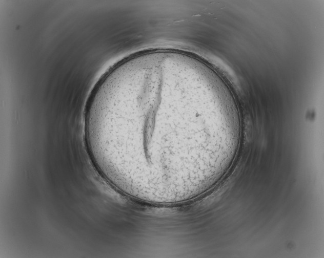 X0000094061280200711161516