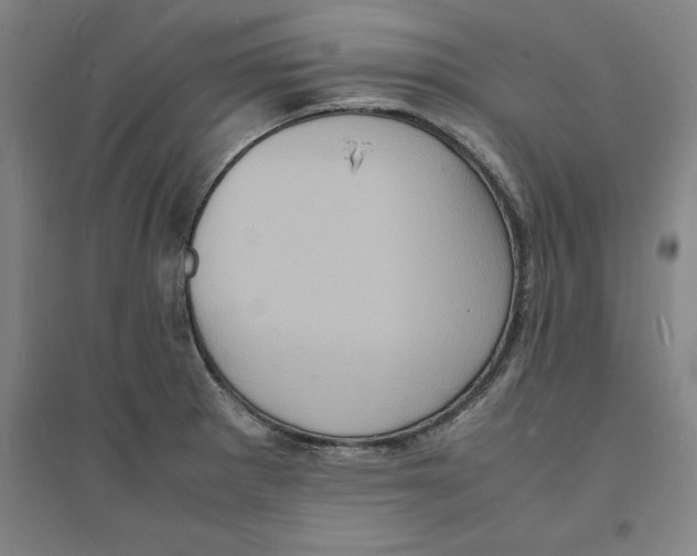 X0000094061281200711161516