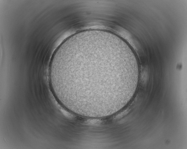 X0000094061282200711161516