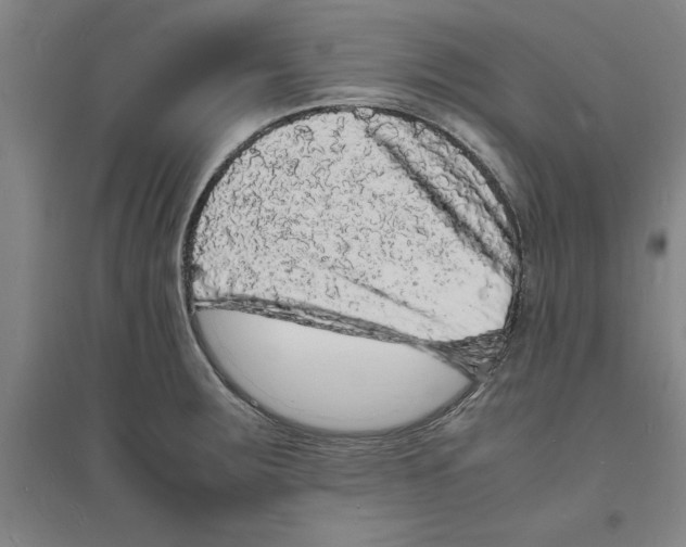 X0000094061283200711161516