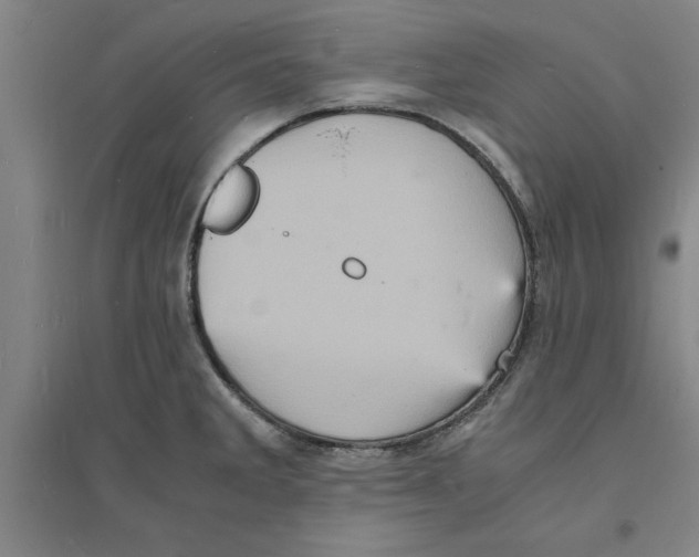 X0000094061285200711161516