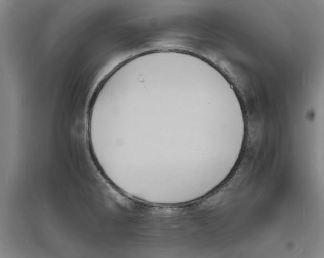 X0000094061286200711161516