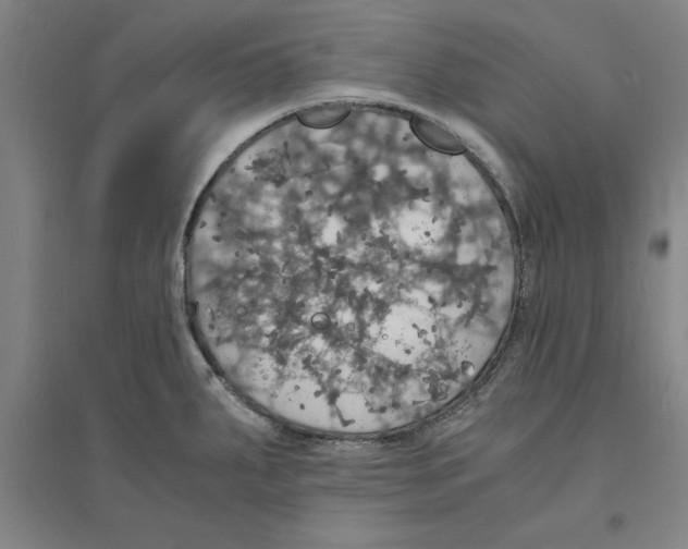 X0000094061287200711161516