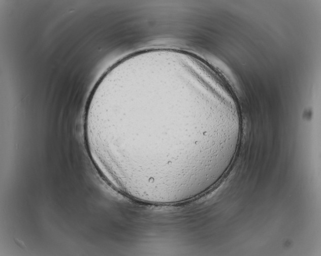 X0000094061288200711161516