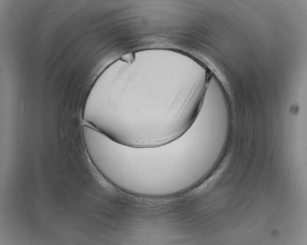 X0000094061289200711161516