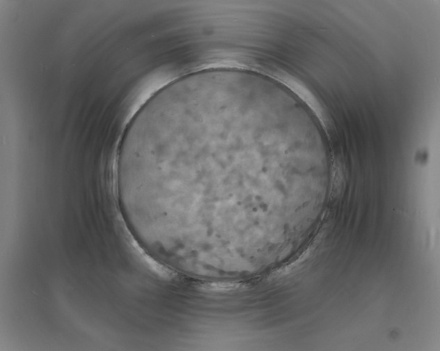 X0000094061290200711161516