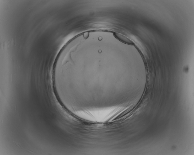 X0000094061291200711161516