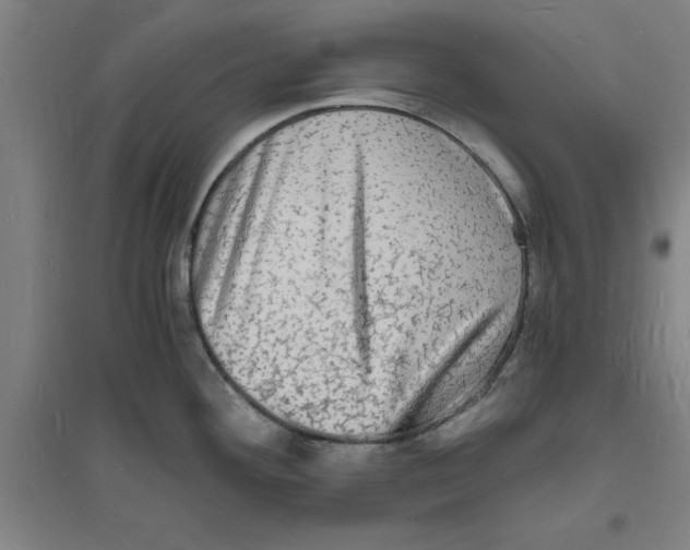 X0000094061292200711161516