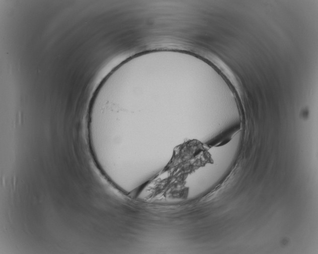 X0000094061293200711161516