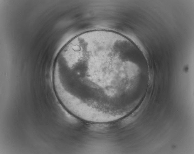 X0000094061294200711161516