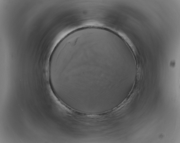 X0000094061295200711161516