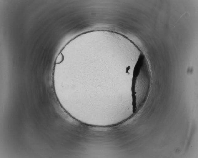 X0000094061296200711161516