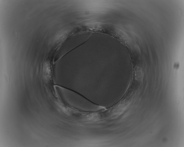 X0000094061298200711161515