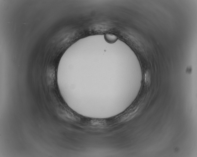 X0000094061299200711161515