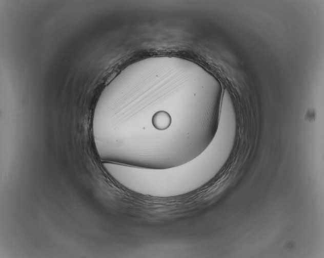 X0000094061300200711161515