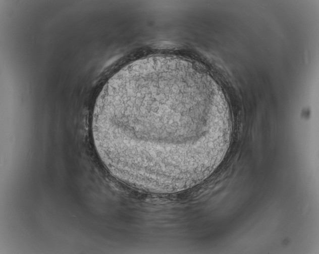 X0000094061301200711161515