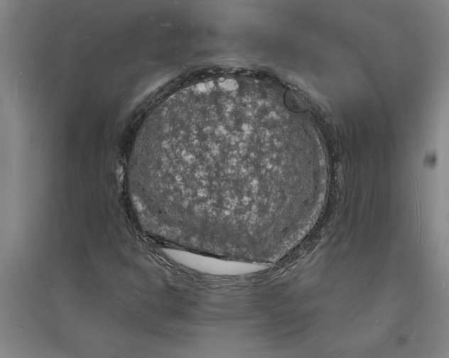 X0000094061302200711161515