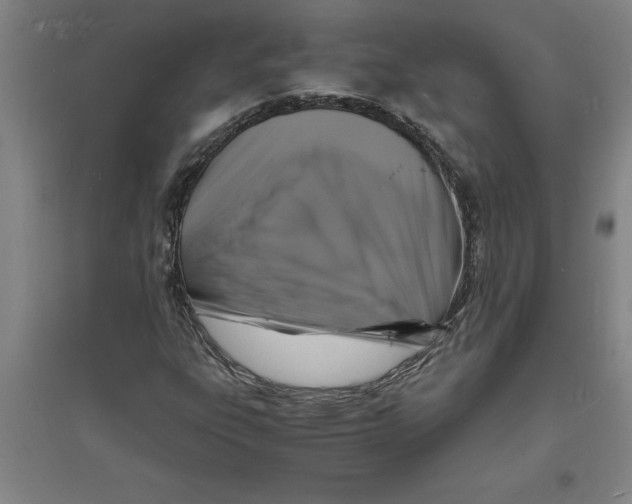 X0000094061303200711161515