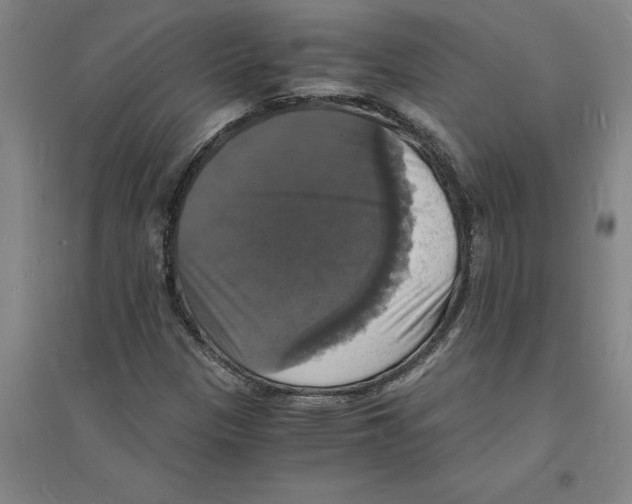 X0000094061305200711161515